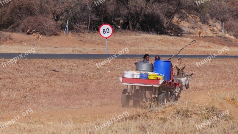 Botswana Donkey Carts Traffic Tradition Transport