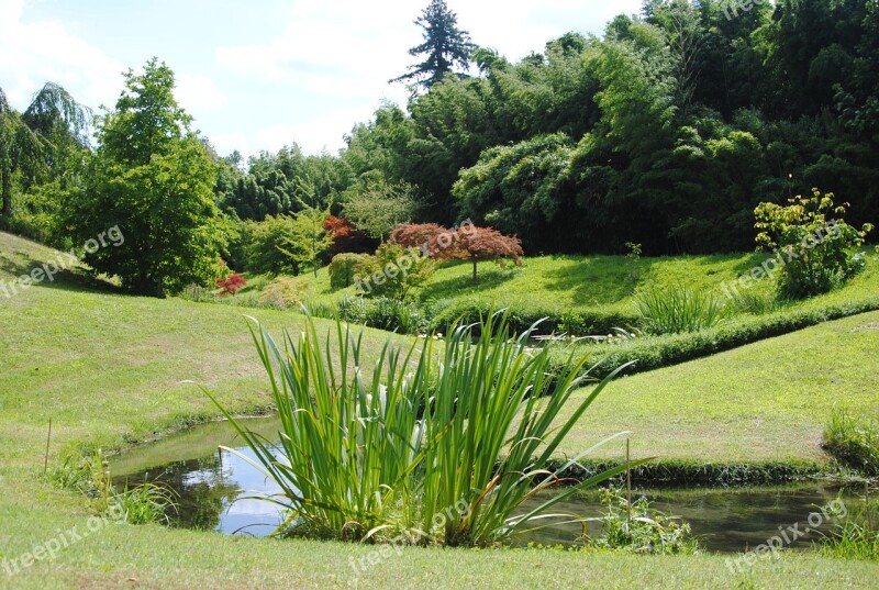 Japanese Garden Nature Landscape Zen Free Photos