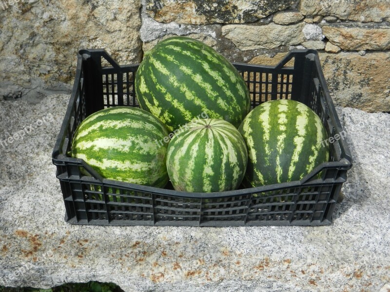 Watermelons Basket Fruit Free Photos