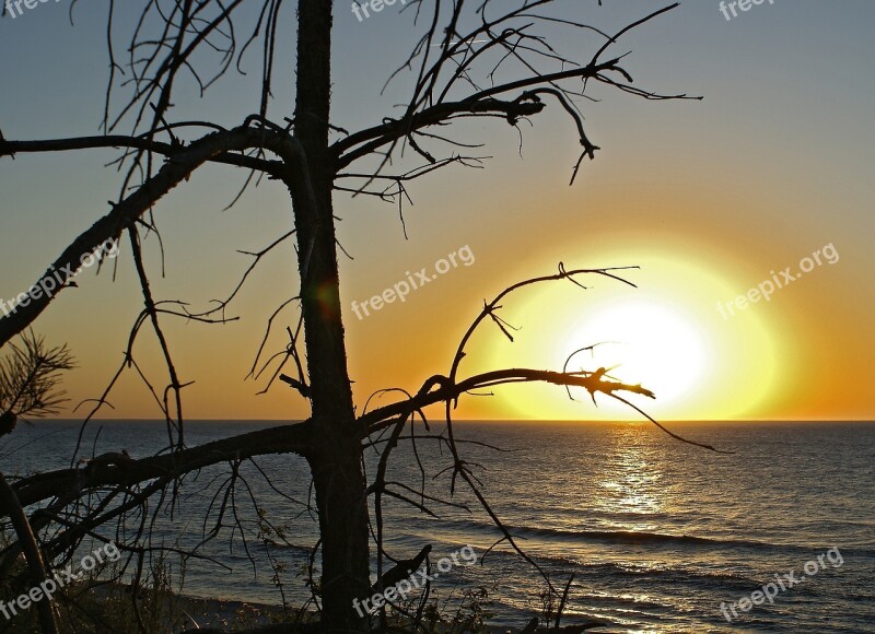 Silhouettes Sunset Evening Silhouettes Of Trees On The Beach