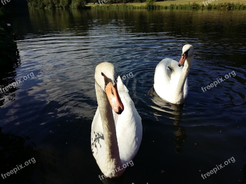 Lahn River Nature Waters Germany