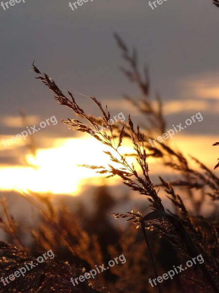 Olkusz Poland Sunset Landscape Free Photos