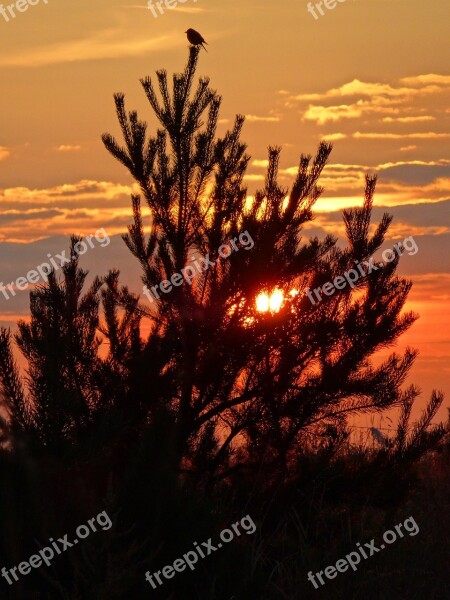 Olkusz Poland Sunset Landscape Free Photos