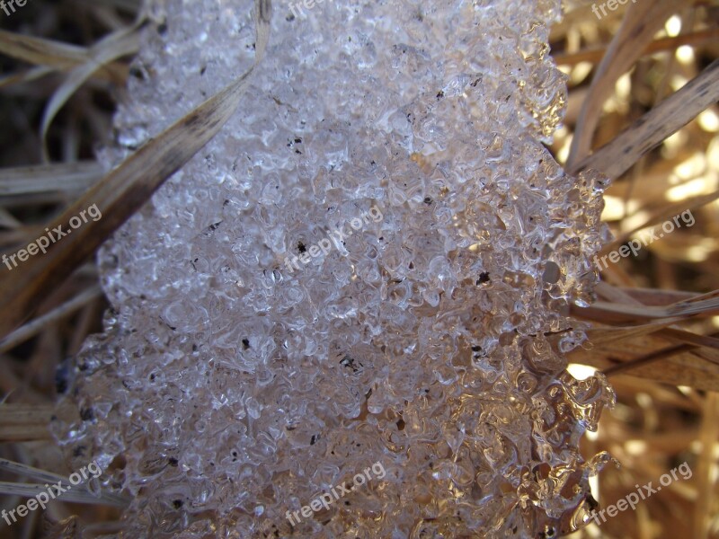 Ice Winter Macro Frost Snow