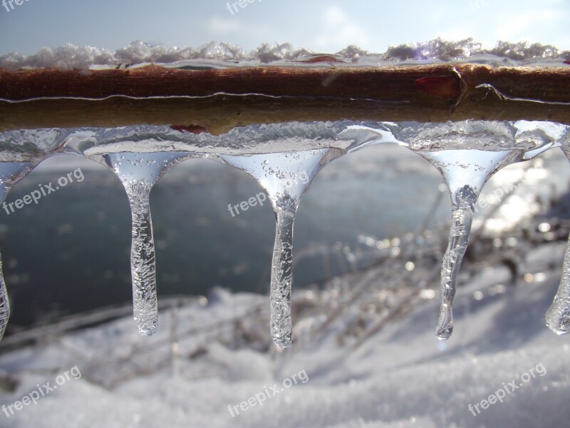 Ice Winter Macro Frost Snow