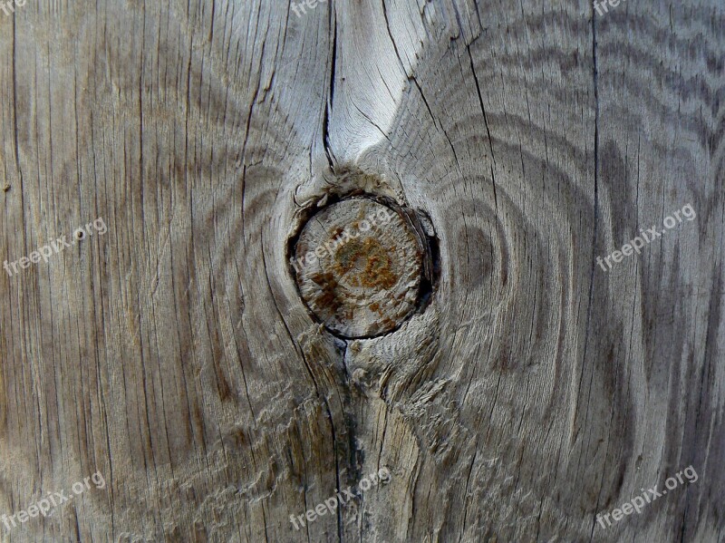 Wood Knot Texture Pine Cracks