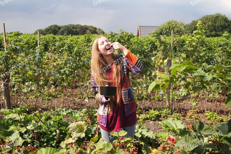 Blackberries Blackberry Picking Tests Young Woman Long Hair