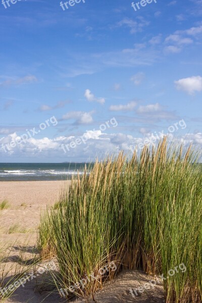 Sea Beach Dunes Sand Water