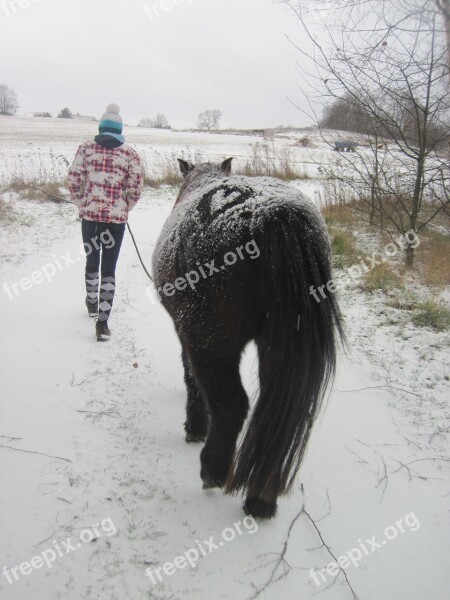 Pony Snow Child Winter Snowed In