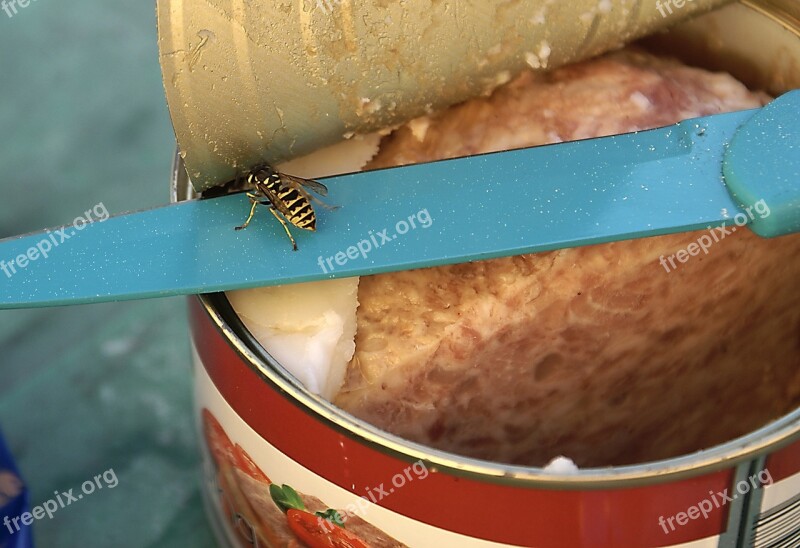 Corned Knife Osa Insect Meat Canned