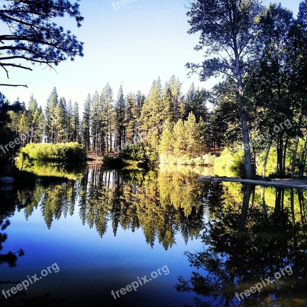 Lake Reflection Water Forest Nature