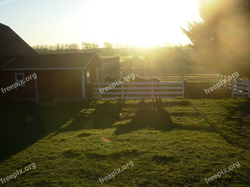 Horse Farm Barn Equine Equestrian