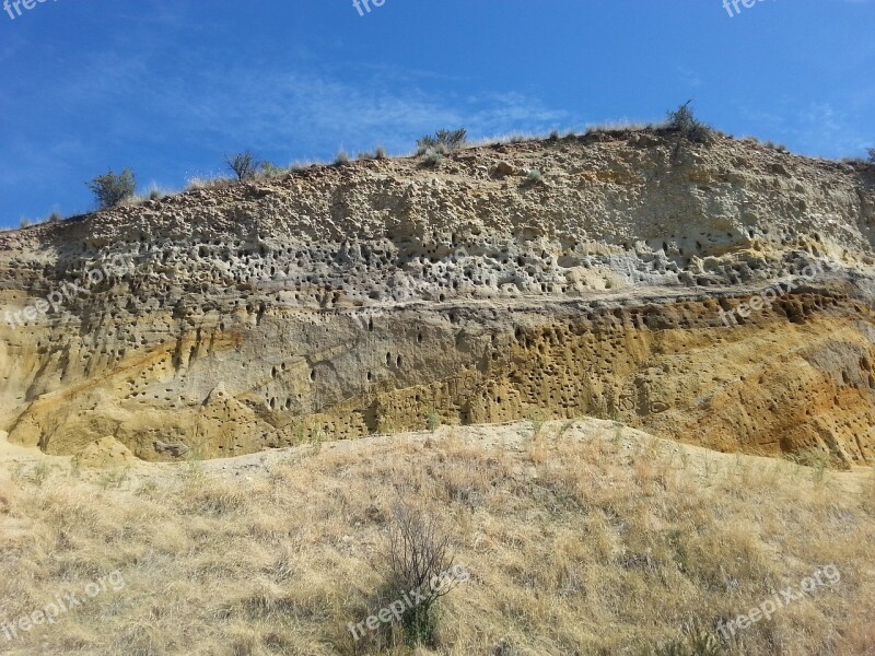 Cliff Nests Sandstone Hillside Free Photos