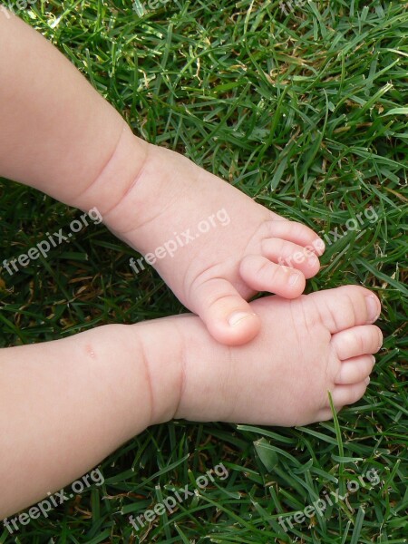 Feet Baby Lawn Girl Parts Of The Body