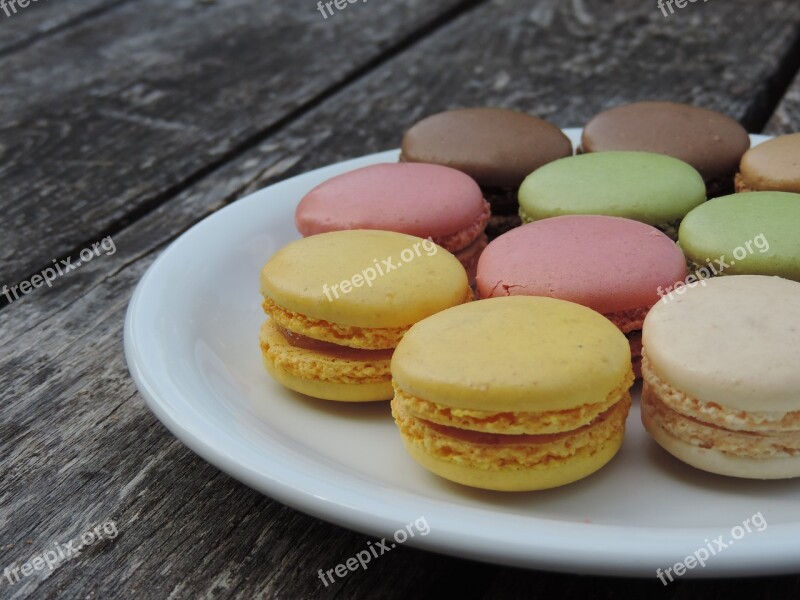 Macarons France Color Plate Wooden Table