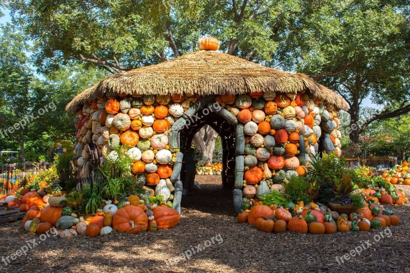 Pumpkins House Arboretum Dallas Autumn