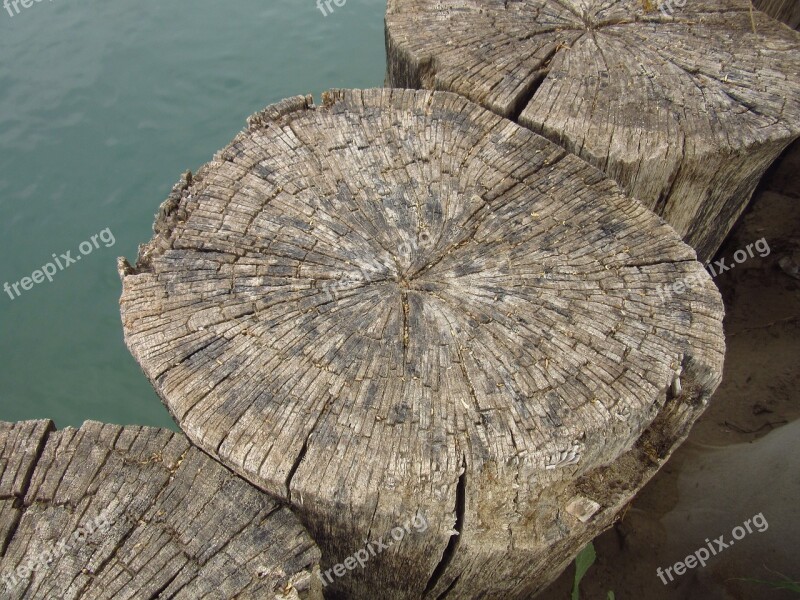 Piles Wood Old Water Bank