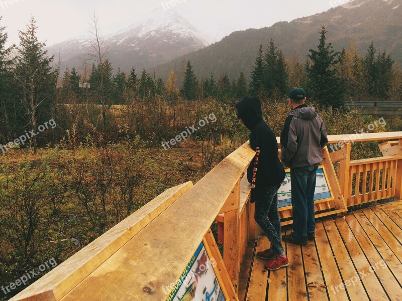 Wood Deck Outdoors Nature Forest