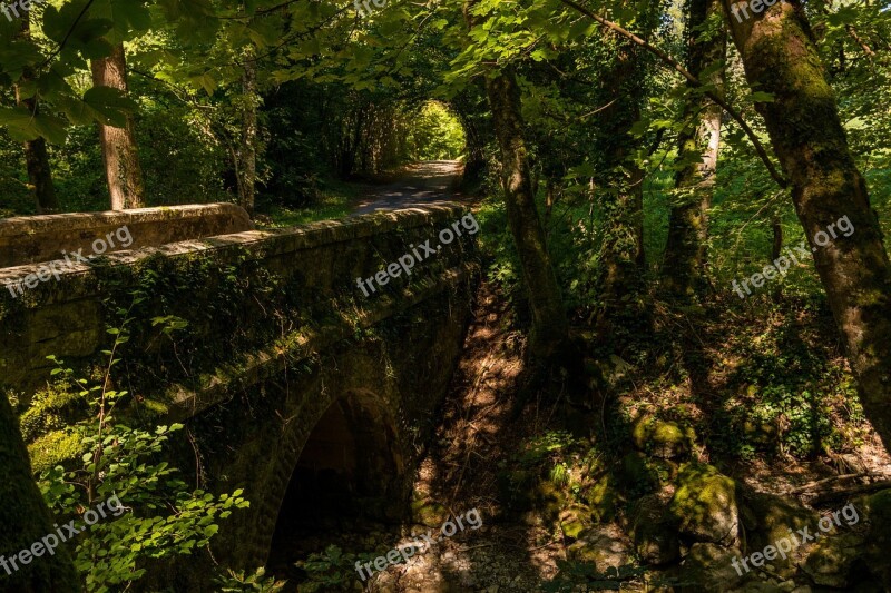 Landscape Bridge Forest Annecy France