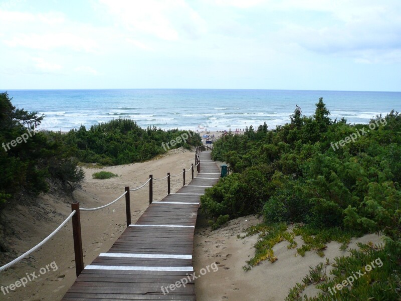 Beach Web Italy Dunes Sea