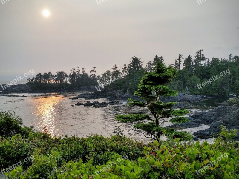 Vancouver Island Uclulet British Columbia Free Photos