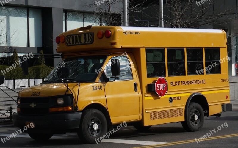 Bus School Bus New York Road Transport