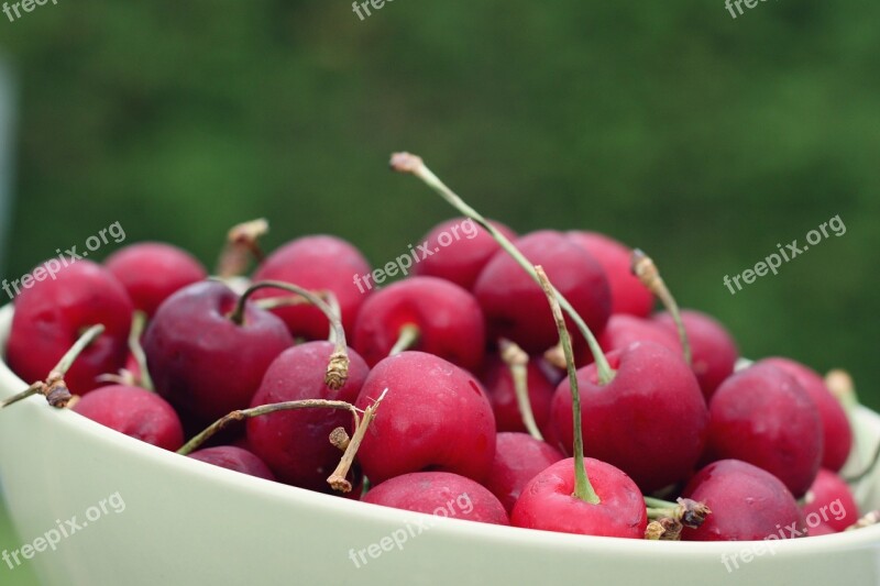 Cherries Fruit Red Collection Free Photos