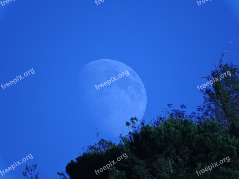 Luna Mountain Trees Green Sky