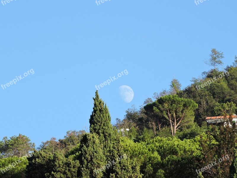 Luna Mountain Trees Green Sky