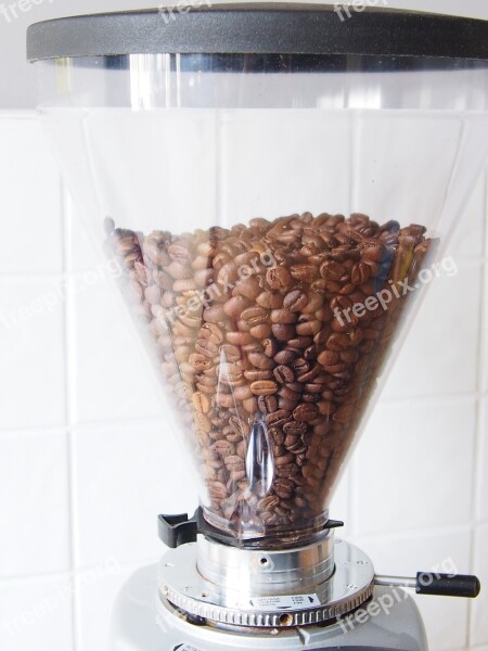 Coffee Beans Arabica Espresso Drink