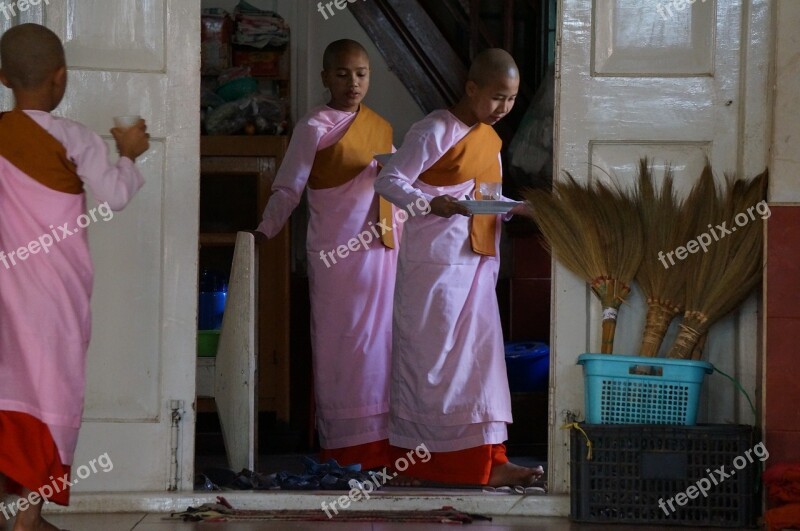 Myanmar Burma Buddhist Nuns Religious Buddhism