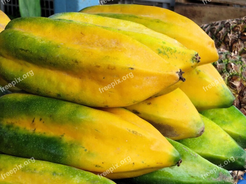 Ecuador Cuenca Market Exotic Fruits Papayas