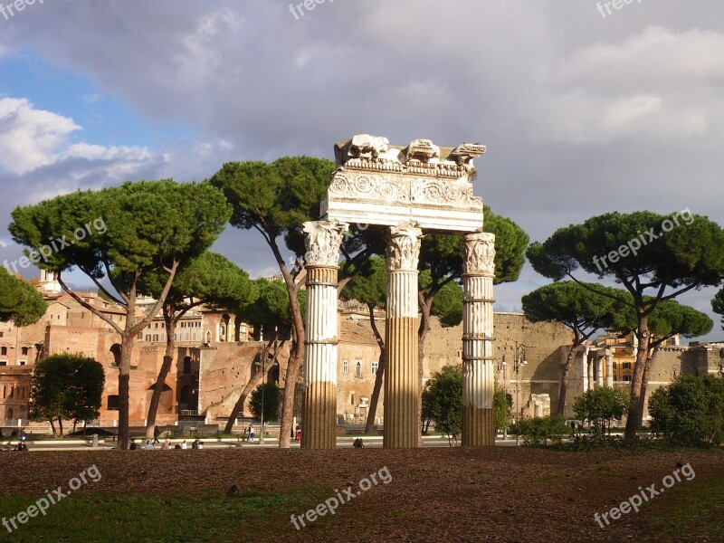 Rome Forum Antiquity Pine Free Photos