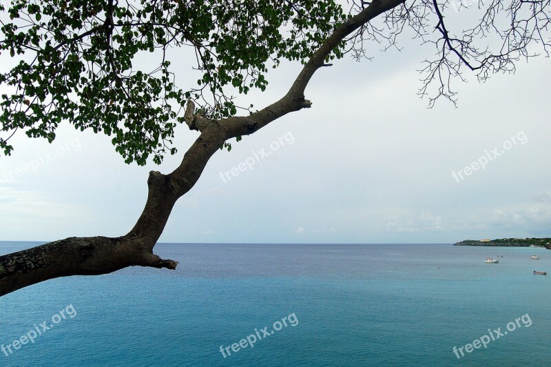 Curacao Antilles Island Tropical Caribbean