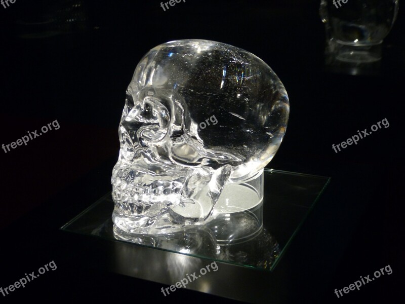 Crystal Skull Exhibition Skull Free Photos