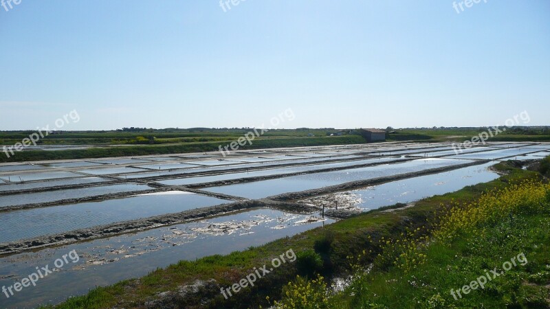 Ile De Ré Salt Shaker Nature Water Liquid