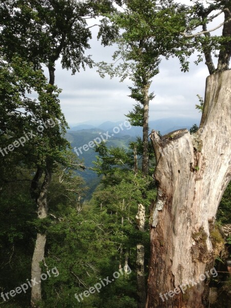 Iraty Mountain View Strain Panorama