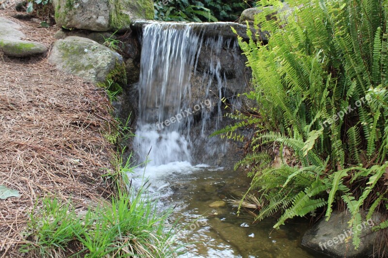 Forest Waterfall Water Current Falls