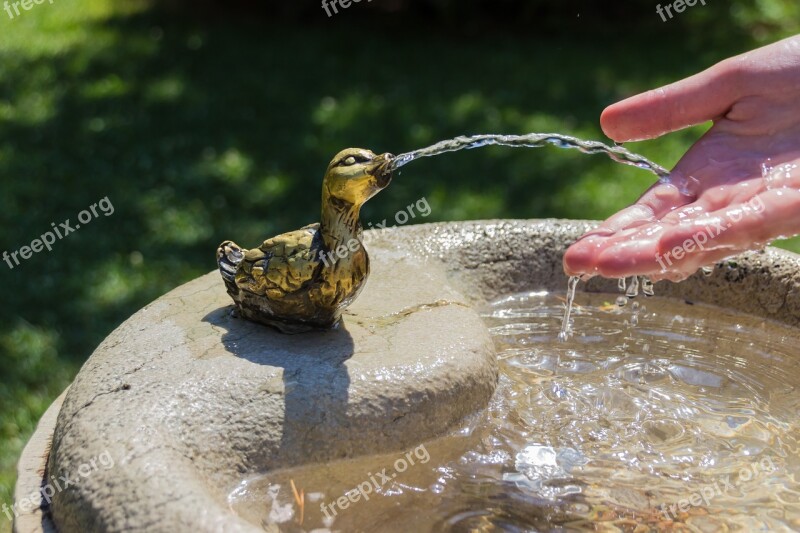 Summer Water Thirsty Drink Heat