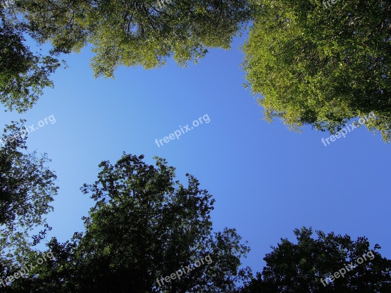 Sky Blue Blue Sky Finnish Wood