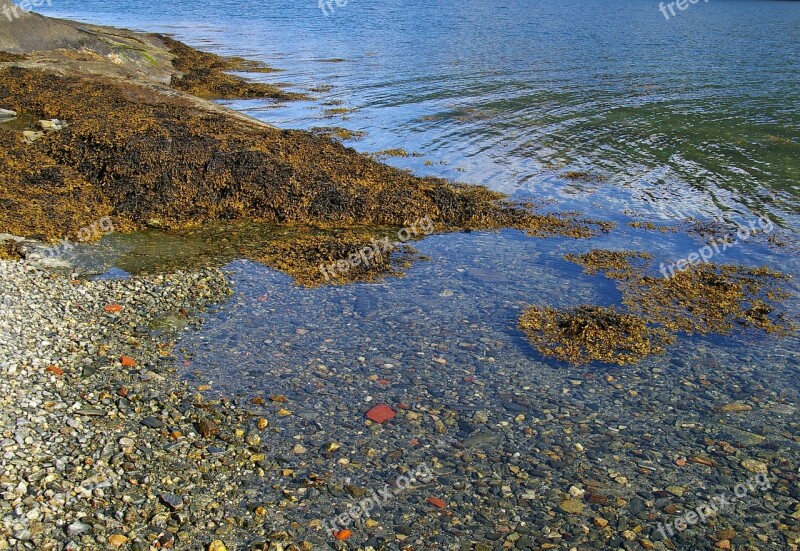 Water Bank Lake Landscape Stones