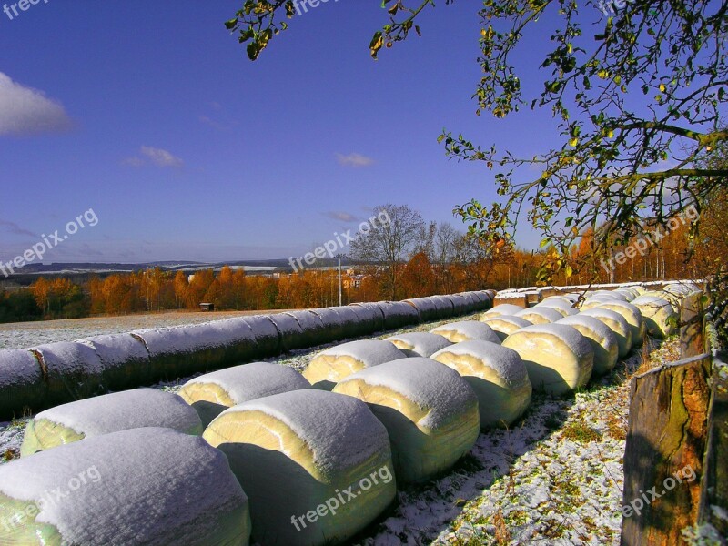 Straw Bales Winter Hay Bales Snow Hay