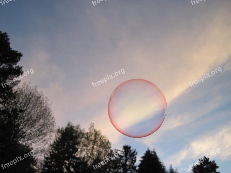 Soap Bubble Shimmer Sky Trees Forest