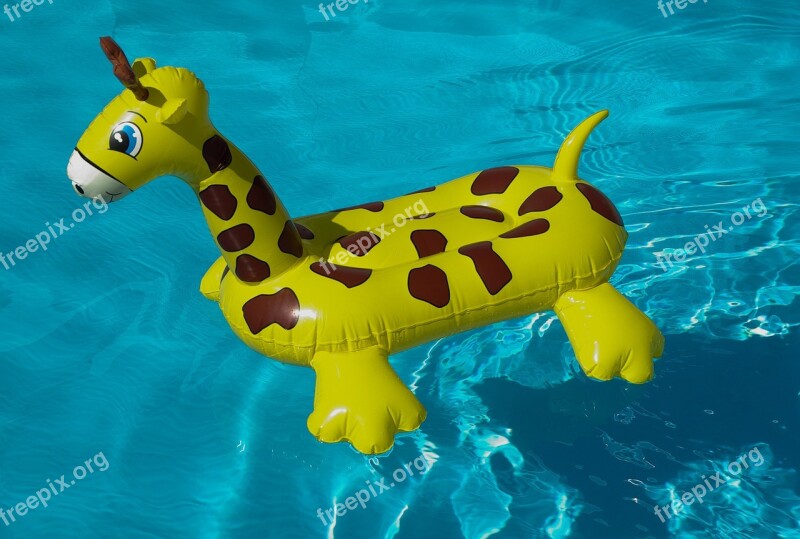 Buoy Swimming Pool Giraffe Free Photos