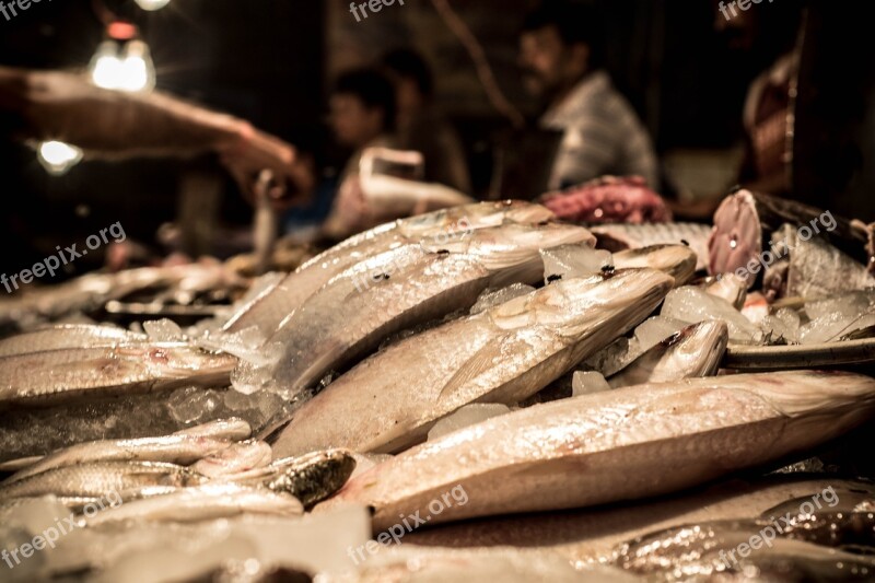 Fish Fish Pieces Food Eating Fish Market