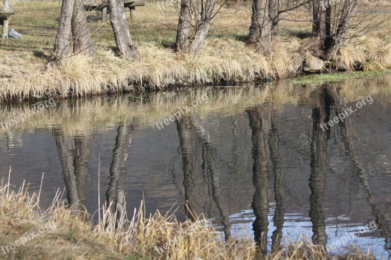 Mirror Reflection Landscape Trees River Nature