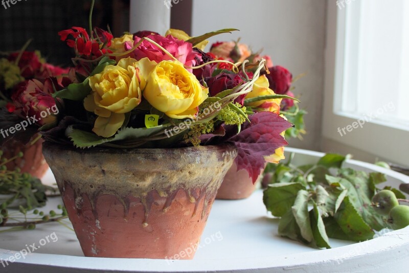 Still Life Flowerpot Decoration Roses Flowers