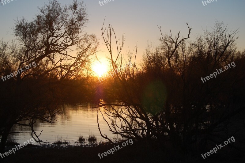 Sunset Marsh Dark Free Photos