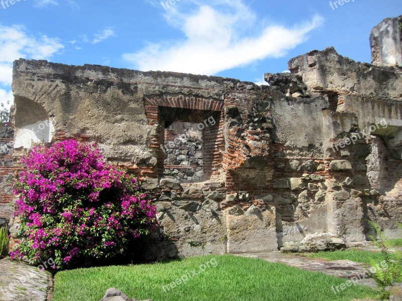 Guatemala Bougainvillea Church Ruins Antigua