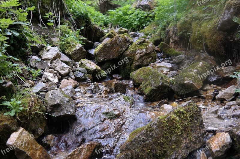 Mountains Source Bach Water Nature